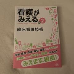 看護がみえる vol.2 臨床看護技術のサムネイル
