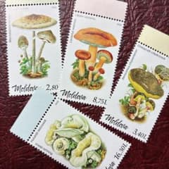 73525セール現品限　外国切手　モルドバ発行鳥4種揃 73525セール現品限 外国切手 モルドバ発行鳥4種揃 73525セール現品限