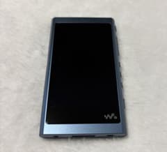 【SONY 】WALKMAN NW-A55のサムネイル