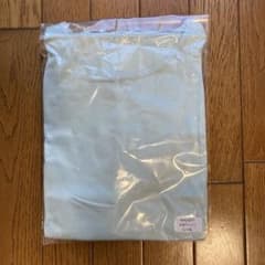 半袖Tシャツ★シルク１００％★ライトブルー★ LL〜3Lサイズ★絹のサムネイル