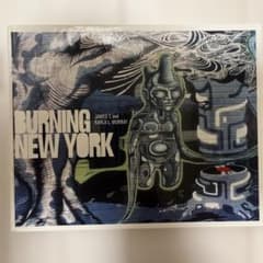 【レア物】BURNING NEW YORK - ストリートアート集 レア物】BURNING NEW YORK - ストリートアート集 - メルカリ