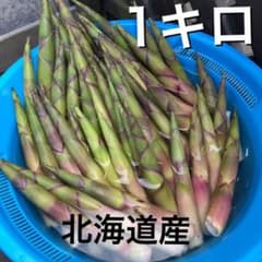 今年ラスト！23日朝採れ予定！たけのこ　姫竹　根曲り竹のサムネイル