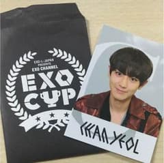 チャニョル exocup トレカのサムネイル