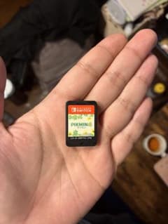 Pikmin 4 Nintendo Switch