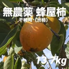 【産地直送】宮城県産渋柿（箱込13.7kg）のサムネイル