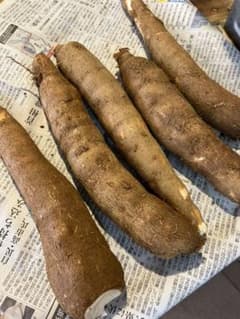 沖縄県産 キャッサバ芋（白）　2kgのサムネイル