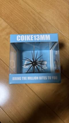 コイケ 13MM グリーンパンプキン - メルカリ