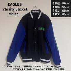 【一点もの】イーグルス 豪華ラインストーン スタジャン L 黒青 アメカジのサムネイル