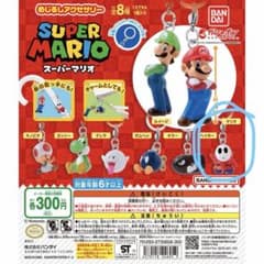 スーパーマリオ めじるしアクセサリー　ヘイホーのサムネイル
