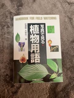 写真で見る植物用語のサムネイル
