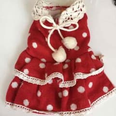 犬服のサムネイル