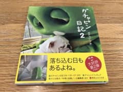 ガチャピン日記２のサムネイル