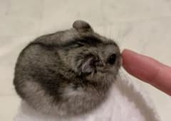 きむゆ様　専用のサムネイル