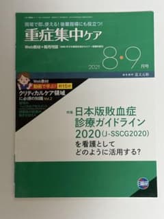 重症集中ケア 2021年8・9月号のサムネイル