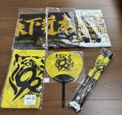 阪神タイガース　2025年優勝　応援タオル　セット　森下翔太　近本光司 阪神タイガース 2025年優勝 応援タオル セット 森下翔太 近本光司