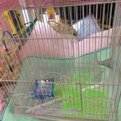 鳥かごのサムネイル