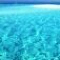 たむたむ様専用のサムネイル
