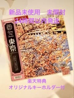 サニーデイ・サービス 東京 1996年 オリジナル盤 レコード おまけ付き LPレコード サニーデイ・サービス 東京 完全生産限定盤ピンク・カラー