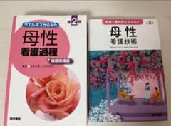 母性看護過程 母性看護技術のサムネイル