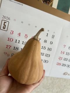 バターナッツカボチャの種のサムネイル