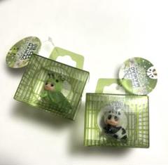 2点セット 昆虫MANIAC展 キューピー - メルカリ