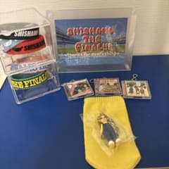 SHISHAMO グッズ まとめ売りのサムネイル
