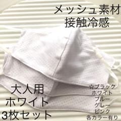 大人用インナーマスク　3枚セット　接触冷感　メッシュ素材のサムネイル