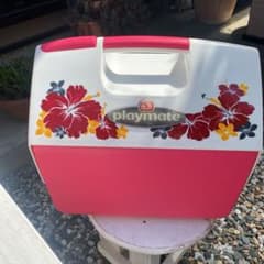 イグルー　igloo クーラーボックス　プレイメイトのサムネイル