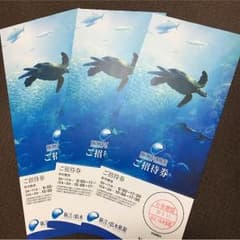 新江ノ島水族館のチケット(3枚)のサムネイル