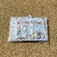サンリオ ハーモニーランド アイスフル シークレットキーホルダー B