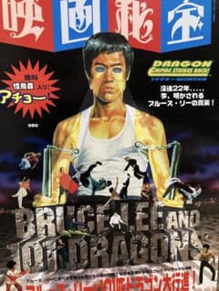ブルース・リーと101匹ドラゴン大行進！ 映画秘宝vol.3のサムネイル
