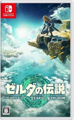 젤다의 전설 티어즈 오브 더 킹덤 Switch