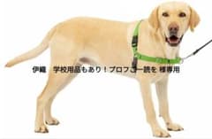 Petsafe イージーウォークハーネス（ML, アップルグリーン&グレー）のサムネイル