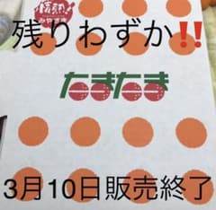 宮崎県産完熟キンカンたまたま3Lのサムネイル