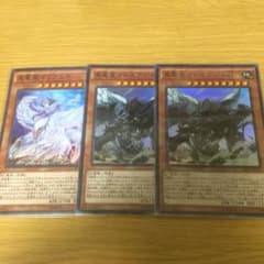 真竜皇(凰)セットのサムネイル