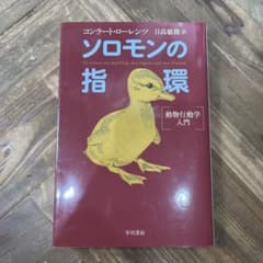 ソロモンの指環 : 動物行動学入門のサムネイル