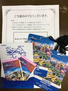 ユニバーサルスタジオジャパン 貸切ペアチケット 9月1日限定のサムネイル