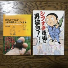 先生、シマリスがヘビの頭をかじっています! シブすぎ技術に男泣き!のサムネイル