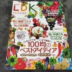 LDK 2015 11月号 激安のサムネイル