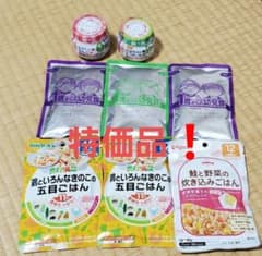⭐値下げ⭐離乳食 ベビーフード セットのサムネイル