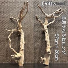 流木 美肌うねうねロング 57cm 立体構造 レイアウト - メルカリ