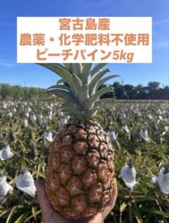 宮古島産 農薬・化学肥料不使用ピーチパイン5kg - メルカリ