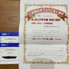 キッザニア甲子園 貸切招待券 1組2名様分のサムネイル
