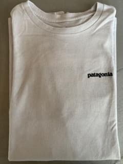 Patagonia パタゴニア　ロンT 長袖　メンズ　Sサイズのサムネイル