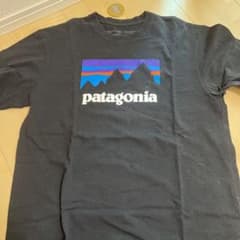 値下げ！patagonia パタゴニア Tシャツのサムネイル
