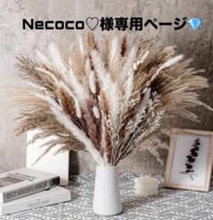 Necoco♡様専用 ✩のサムネイル