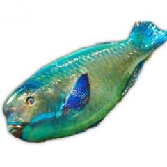 チタン様 専用のサムネイル