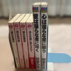 愁堂れな 淫らなシリーズ 6冊セット GENKI NOVELSのサムネイル