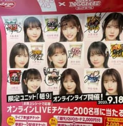 AKB48 カップヌードル 麺9 サイン入りポスター プレミアム 10枚 限定 AKB48 カップヌードル 麺9 サイン入りポスター プレミアム 10枚 限定