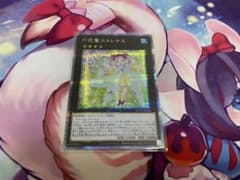 六花聖ストレナエ プリシク プリズマのサムネイル